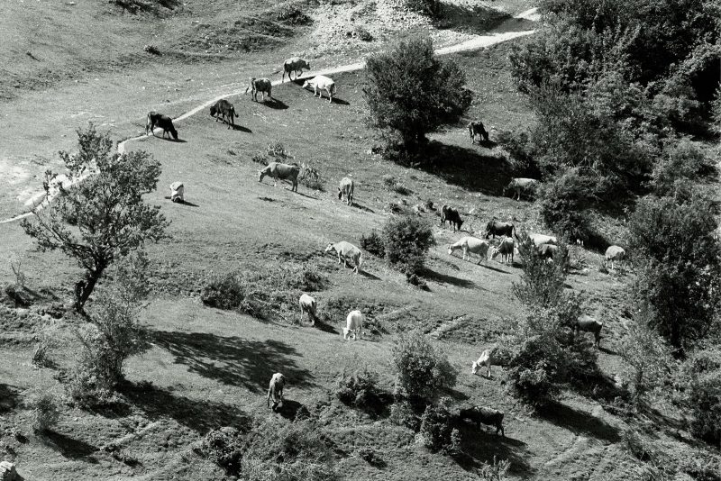 Gorani (1988-1995) Kosovo03