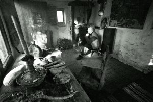 Artists (1984-2014) Milić Od Mačve013